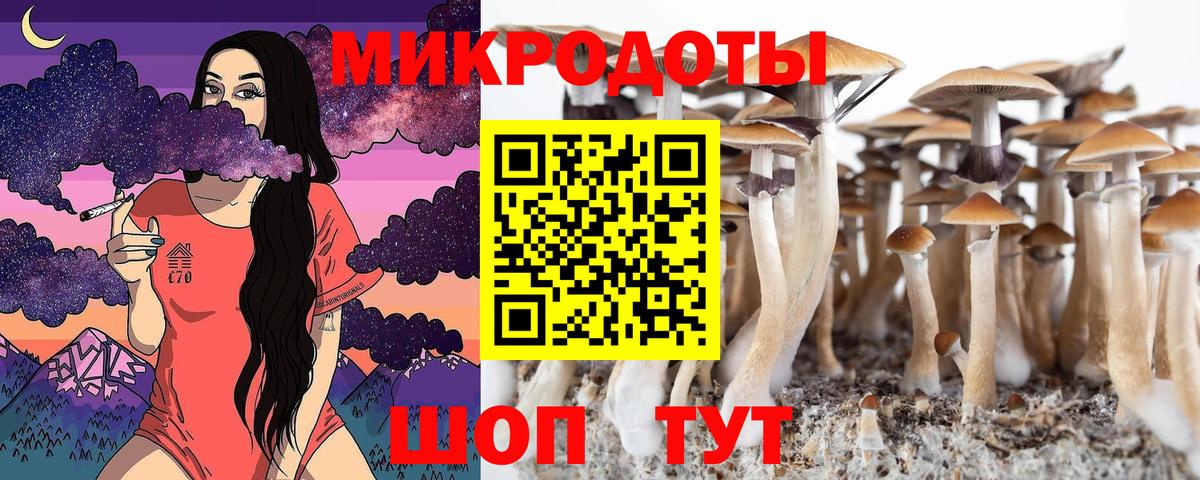 Псилоцибиновые грибы MAGIC MUSHROOMS Сосновый Бор